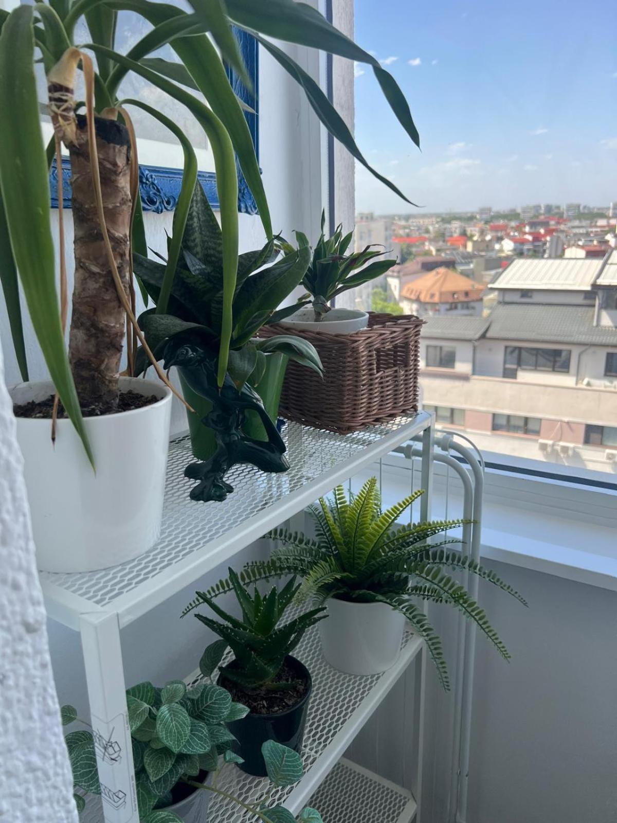 1Bdr Apartment Perla 225 Букурещ Екстериор снимка